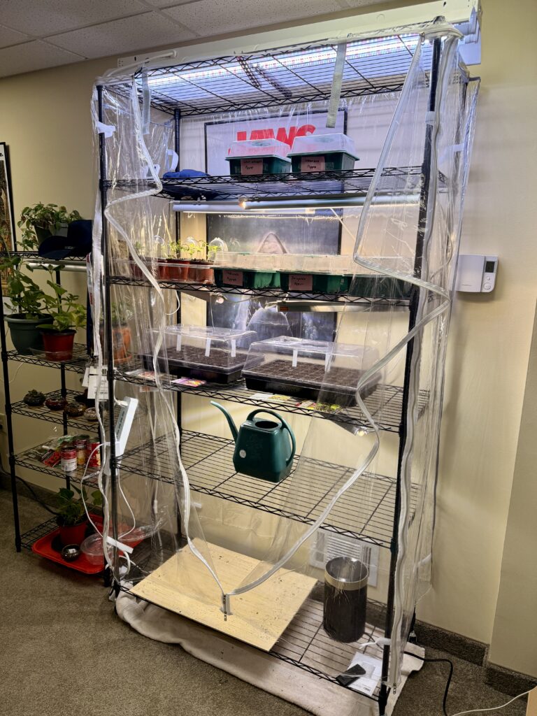 How to Build an Indoor Greenhouse in Your Basement (Perfect for Starting Seeds in New Jersey)