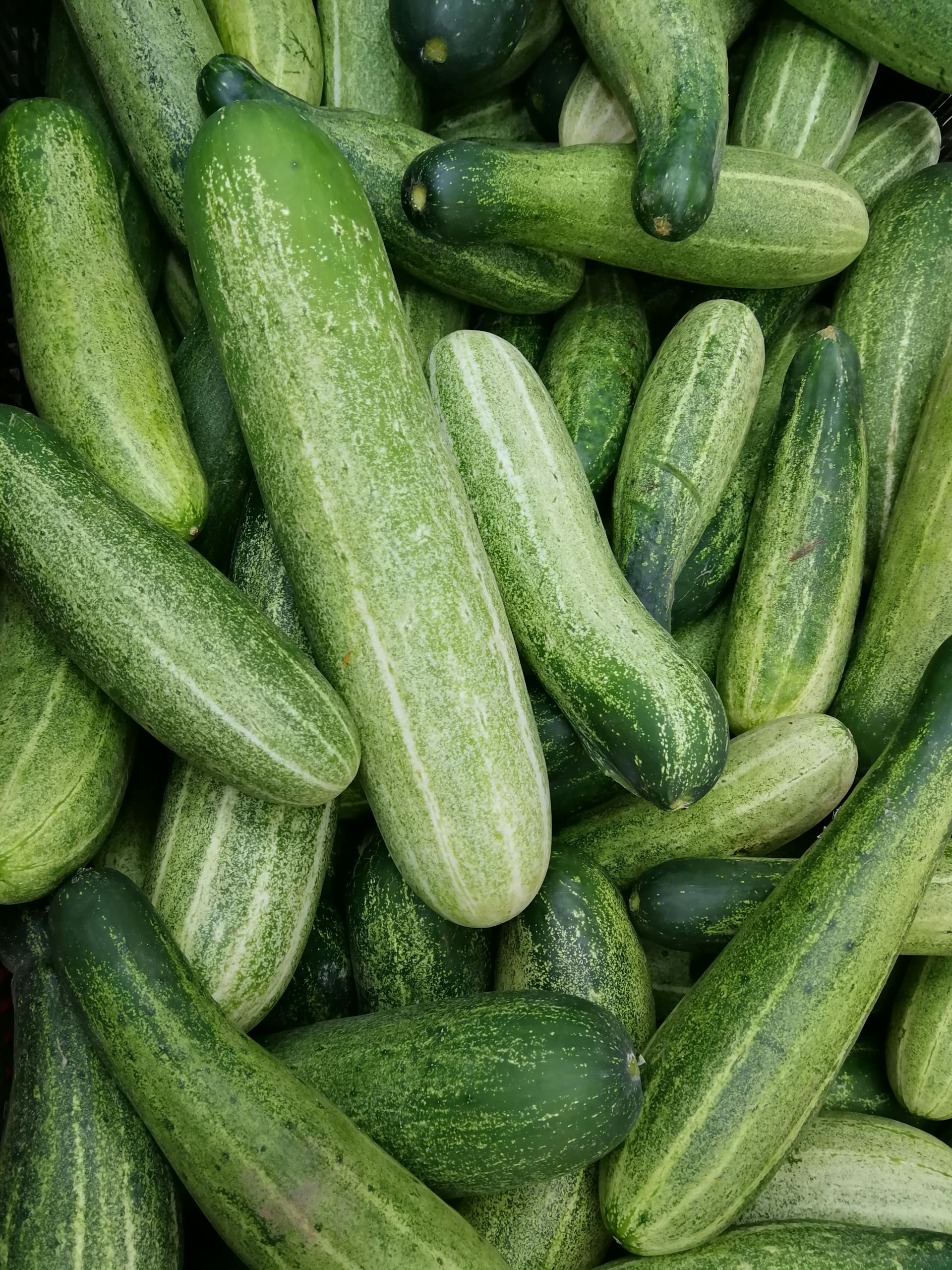 A close-up of fresh green cucumbers piled together, showcasing texture and healthiness.