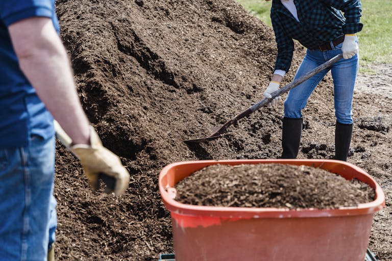 Two people working in a garden shoveling soil into a wheelbarrow on a sunny day.